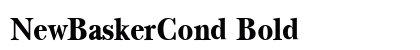 NewBaskerCond Bold preview