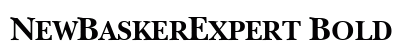 NewBaskerExpert Bold preview
