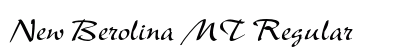 New Berolina MT Regular preview
