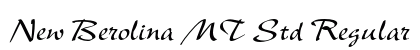 New Berolina MT Std Regular preview