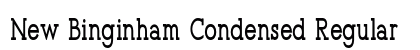 New Binginham Condensed Regular Preview
