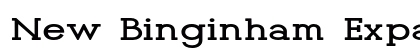 New Binginham Expanded Regular Preview