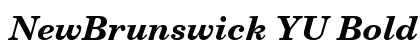 NewBrunswick YU Bold Italic Preview