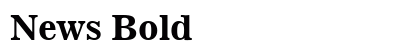 News Bold Preview