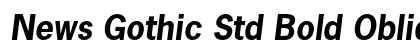 News Gothic Std Bold Oblique Preview