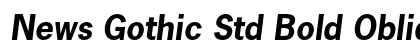 News Gothic Std Bold Oblique Preview