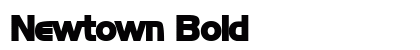 Newtown Bold preview