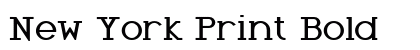 New York Print Bold preview