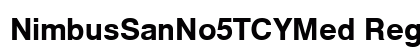 NimbusSanNo5TCYMed Regular preview