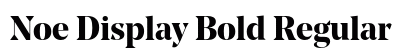 Noe Display Bold Regular preview