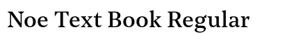 Noe Text Book Regular preview