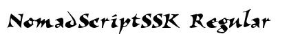 NomadScriptSSK Regular preview