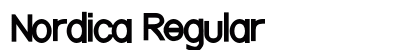 Nordica Regular Preview