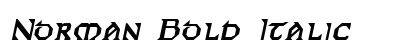Norman Bold Italic Preview