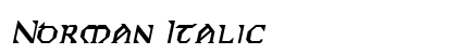 Norman Italic preview