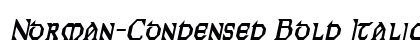 Norman-Condensed Bold Italic Preview