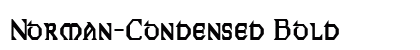 Norman-Condensed Bold Preview
