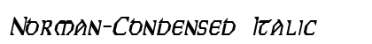 Norman-Condensed Italic preview