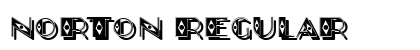 Norton Regular preview