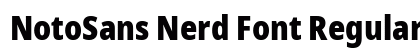 NotoSans Nerd Font Regular preview