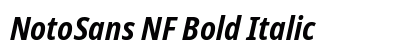 NotoSans NF Bold Italic Preview