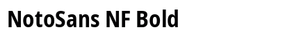 NotoSans NF Bold preview