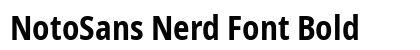NotoSans Nerd Font Bold preview