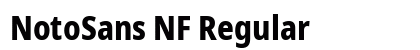 NotoSans NF Regular Preview