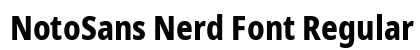 NotoSans Nerd Font Regular preview