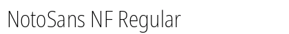 NotoSans NF Regular Preview
