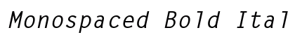 Monospaced Bold Italic Preview