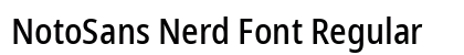 NotoSans Nerd Font Regular preview