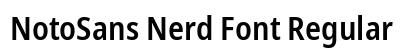 NotoSans Nerd Font Regular preview