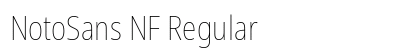 NotoSans NF Regular Preview