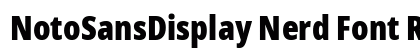 NotoSansDisplay Nerd Font Regular Preview