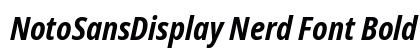 NotoSansDisplay Nerd Font Bold Italic Preview