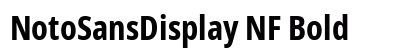 NotoSansDisplay NF Bold preview