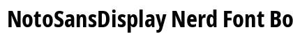 NotoSansDisplay Nerd Font Bold preview