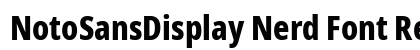 NotoSansDisplay Nerd Font Regular Preview