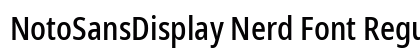NotoSansDisplay Nerd Font Regular Preview