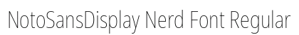 NotoSansDisplay Nerd Font Regular Preview
