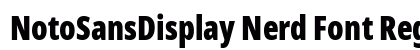 NotoSansDisplay Nerd Font Regular Preview