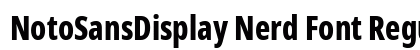 NotoSansDisplay Nerd Font Regular Preview