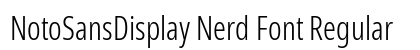NotoSansDisplay Nerd Font Regular Preview