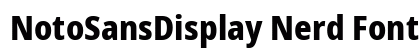 NotoSansDisplay Nerd Font Regular Preview