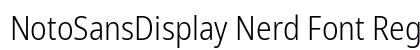NotoSansDisplay Nerd Font Regular Preview