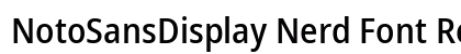 NotoSansDisplay Nerd Font Regular Preview