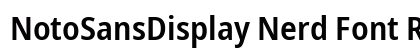 NotoSansDisplay Nerd Font Regular Preview
