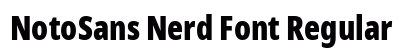 NotoSans Nerd Font Regular preview