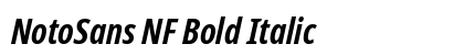 NotoSans NF Bold Italic Preview